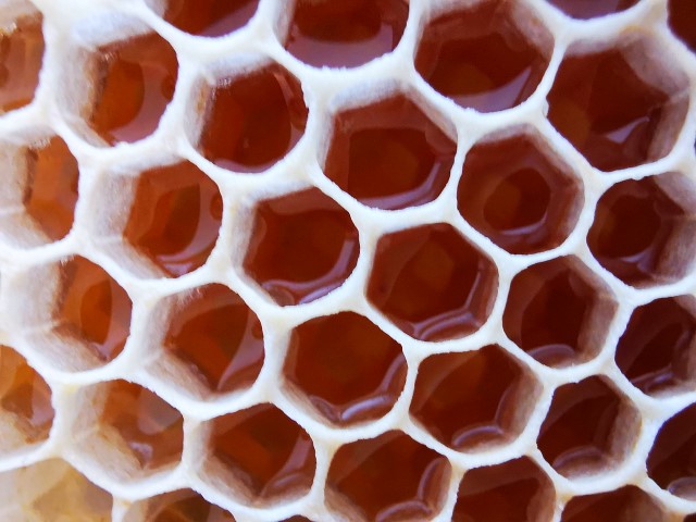 Honig in einer Wabe